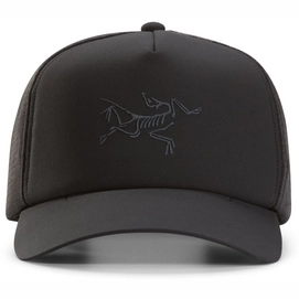 Arcteryx baseball hat online